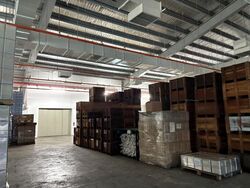 Gul Avenue (D22), Factory #471220941